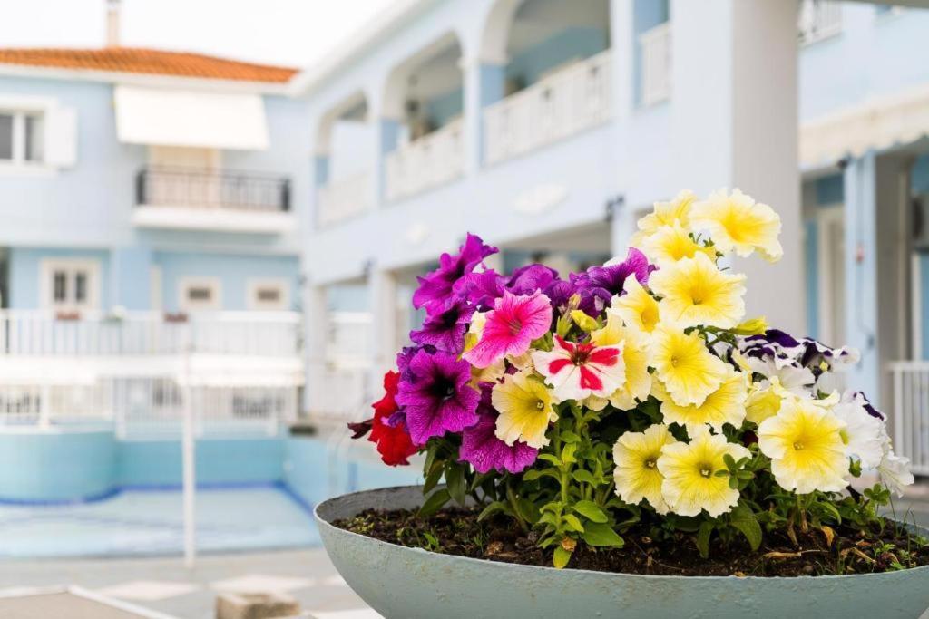 Anna'S Studios & Apartments Zakynthos Exterior foto